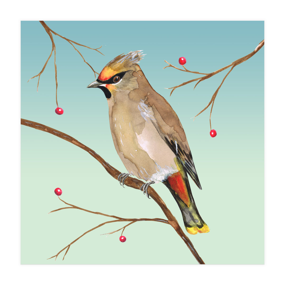 Bohemian waxwing (Print Only)