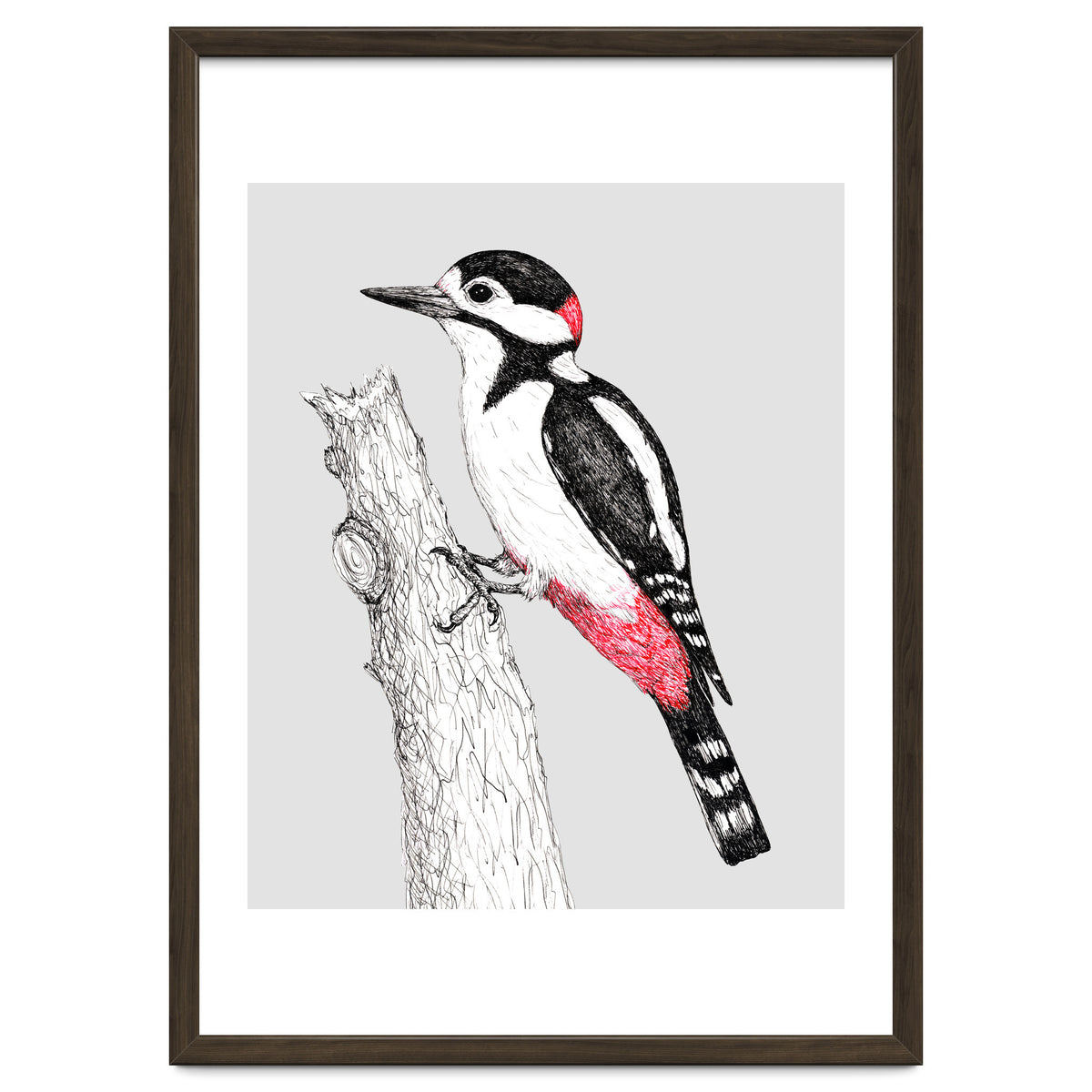Great spotted woodpecker