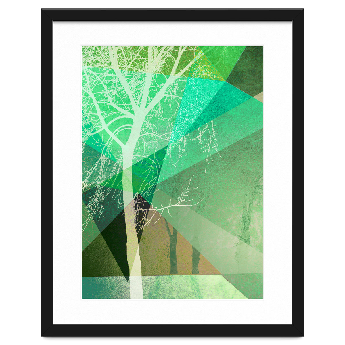 P22 B Trees And Triangles