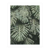 MONSTERA LEAVES (Print Only)