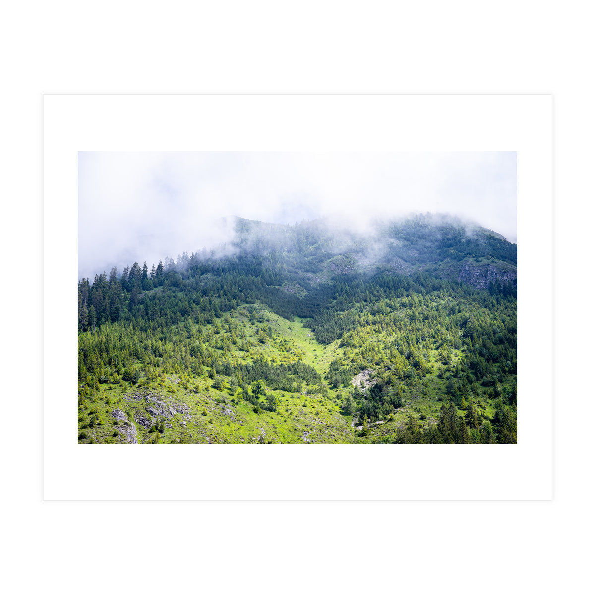 Ascension (Print Only)