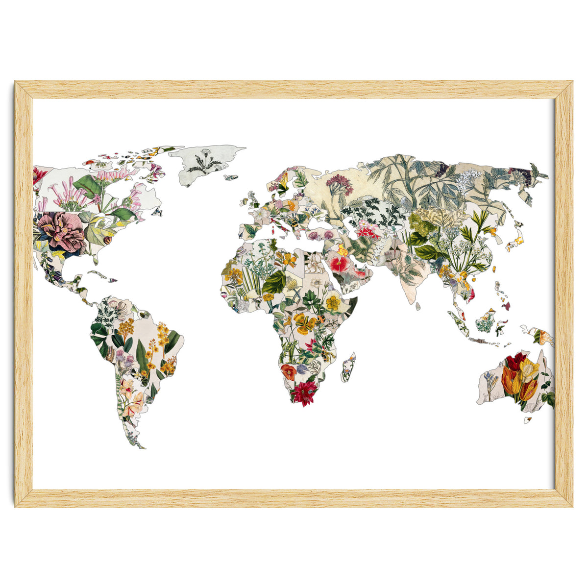 Vintage Botanical Map