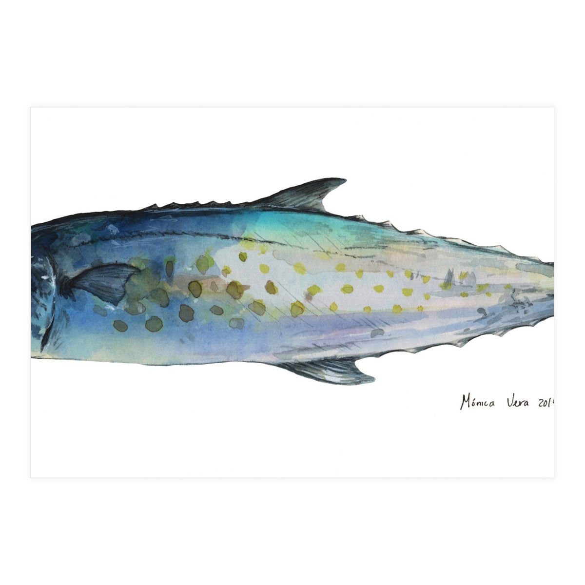 Fish Sierra (Print Only)