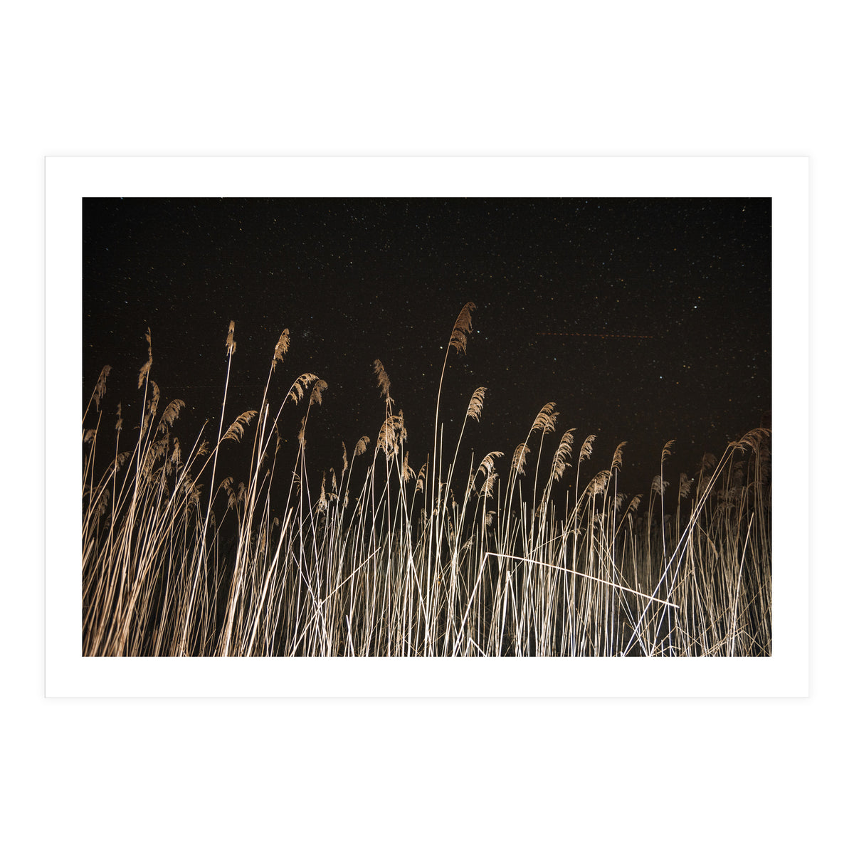 The Shining (Print Only)