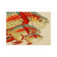 Fish Classic Designs 1 (Print Only)