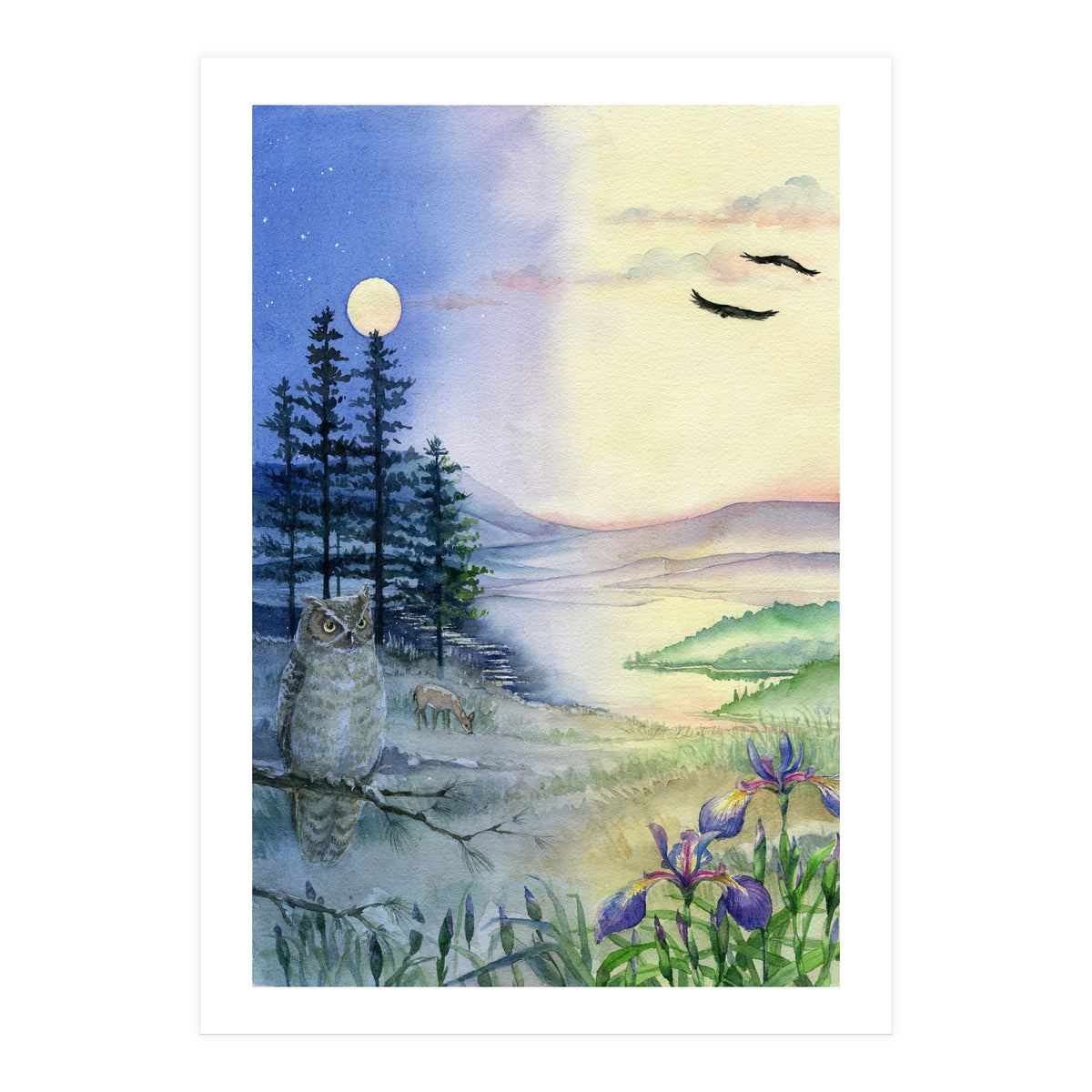 Owl & Twilight (Print Only)