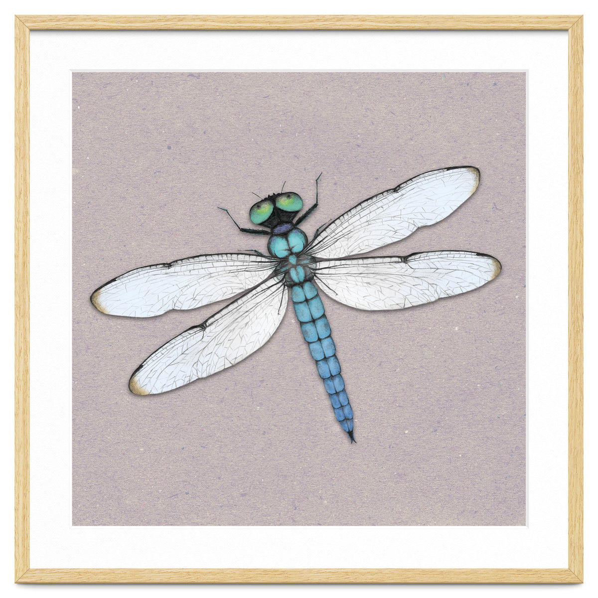 Blue dragonfly