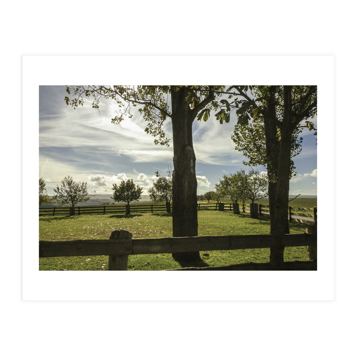 Bucolism 2 (Print Only)