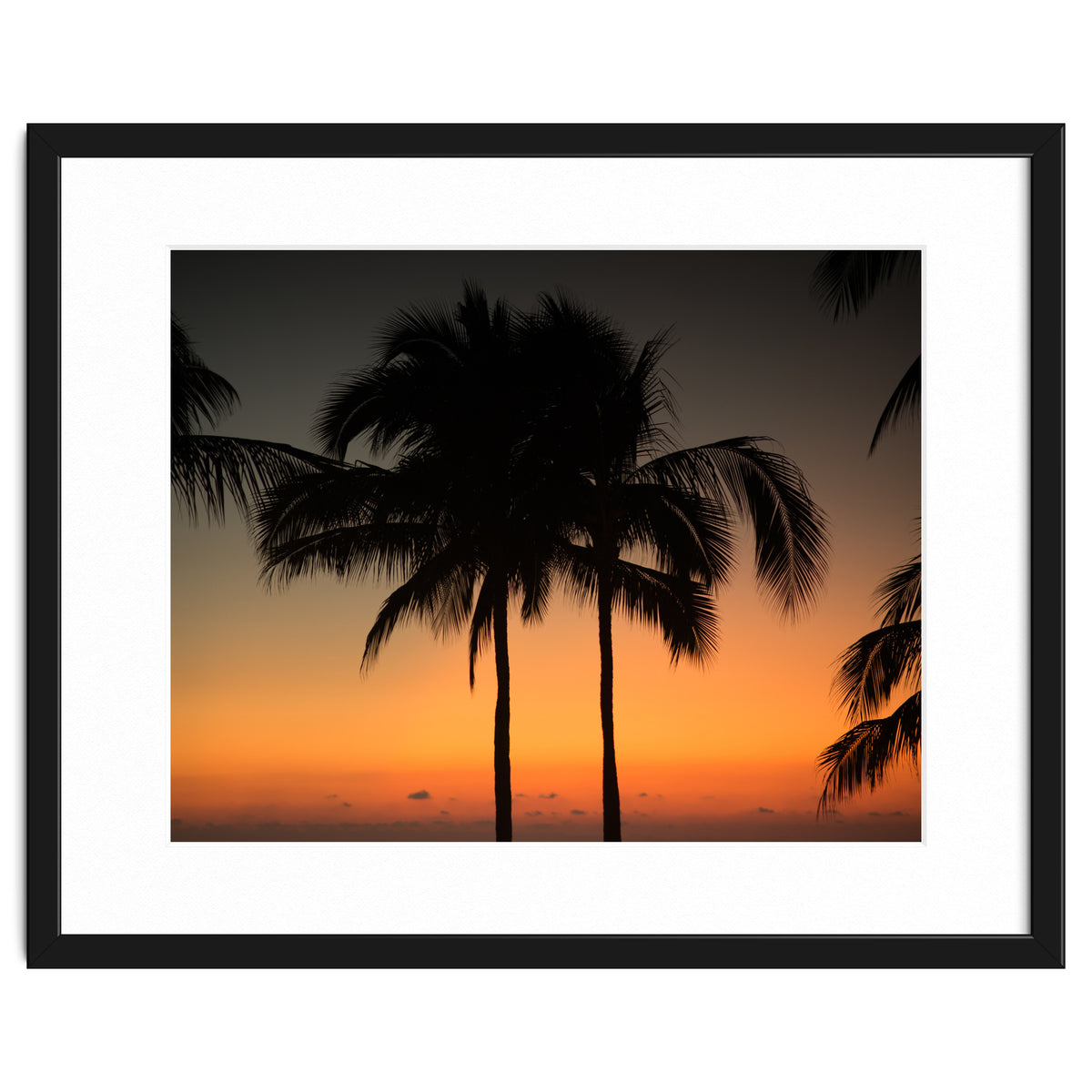 Mexico, November nights