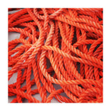 Orange ropes (Print Only) thumbnail