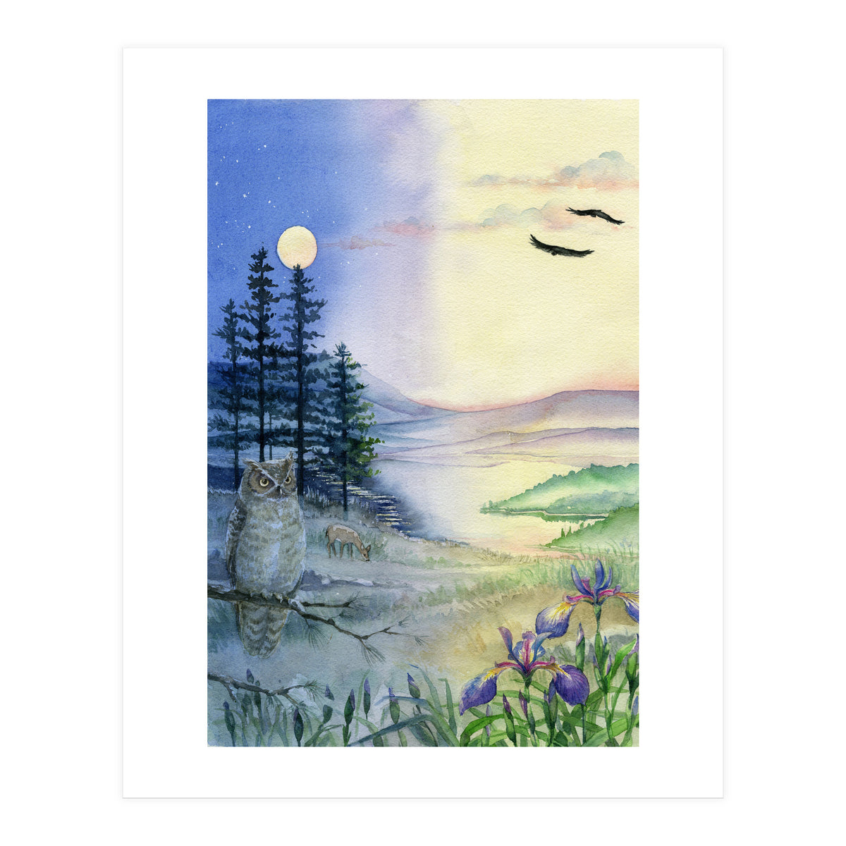 Owl & Twilight (Print Only)