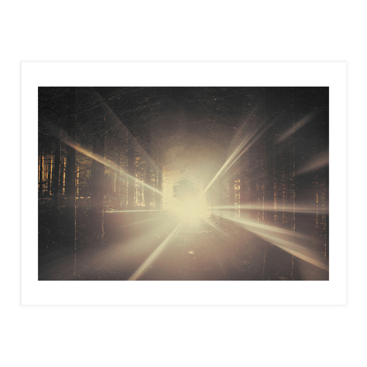 Why is Summer Mist Romantic and Autumn Mist just Sad? (Print Only)