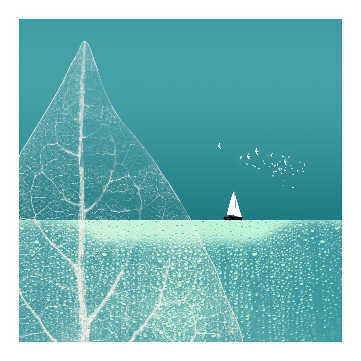 Ocean Wonderland Ii-B  (Print Only)