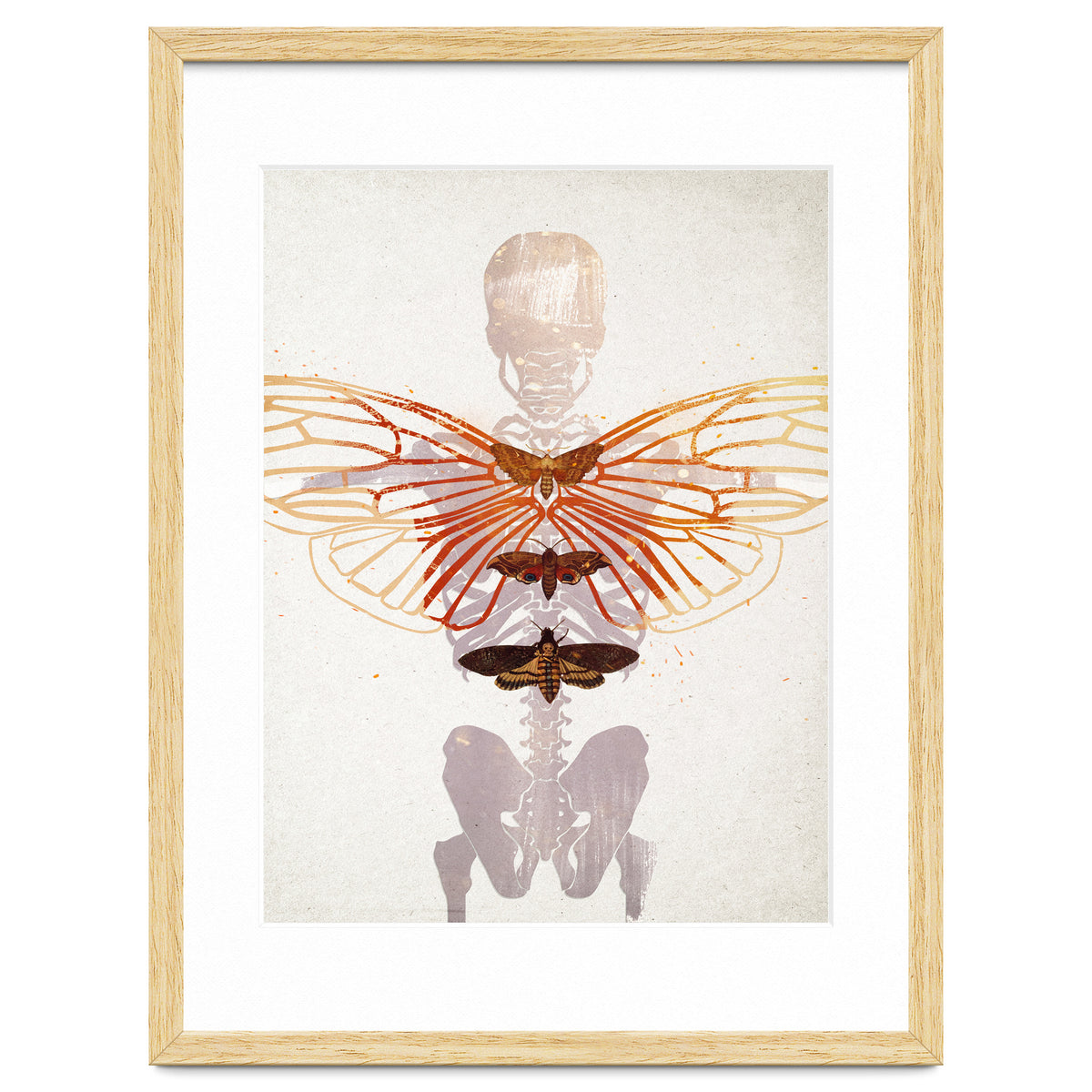 Ikarus - Like a Moth to the Flame