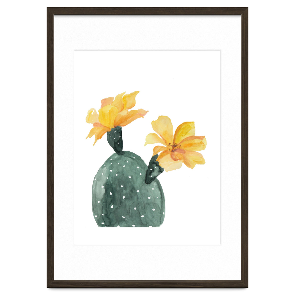 Botanical Illustration Yellow Cactus Flowers