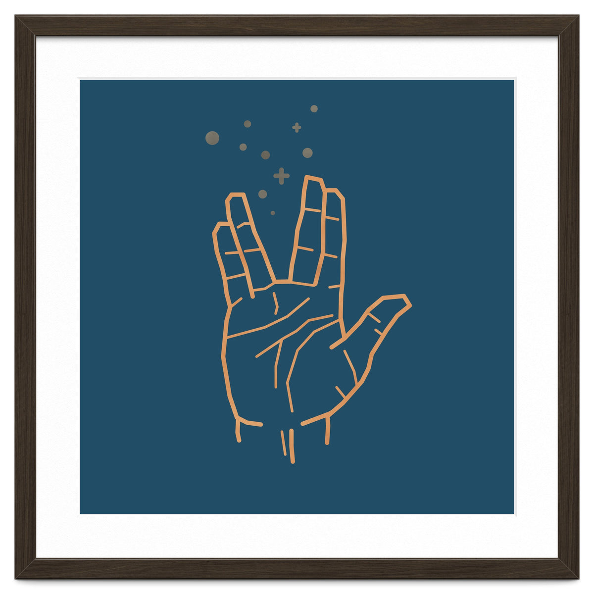 Vulcan Salute