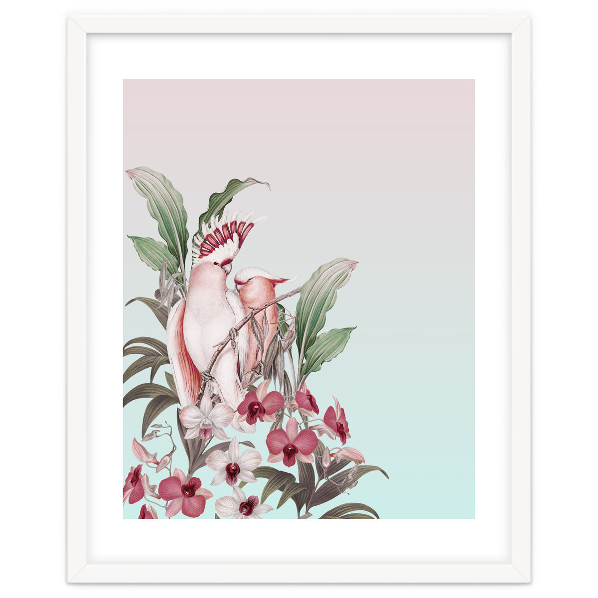 Pastel Cockatoos Paradise