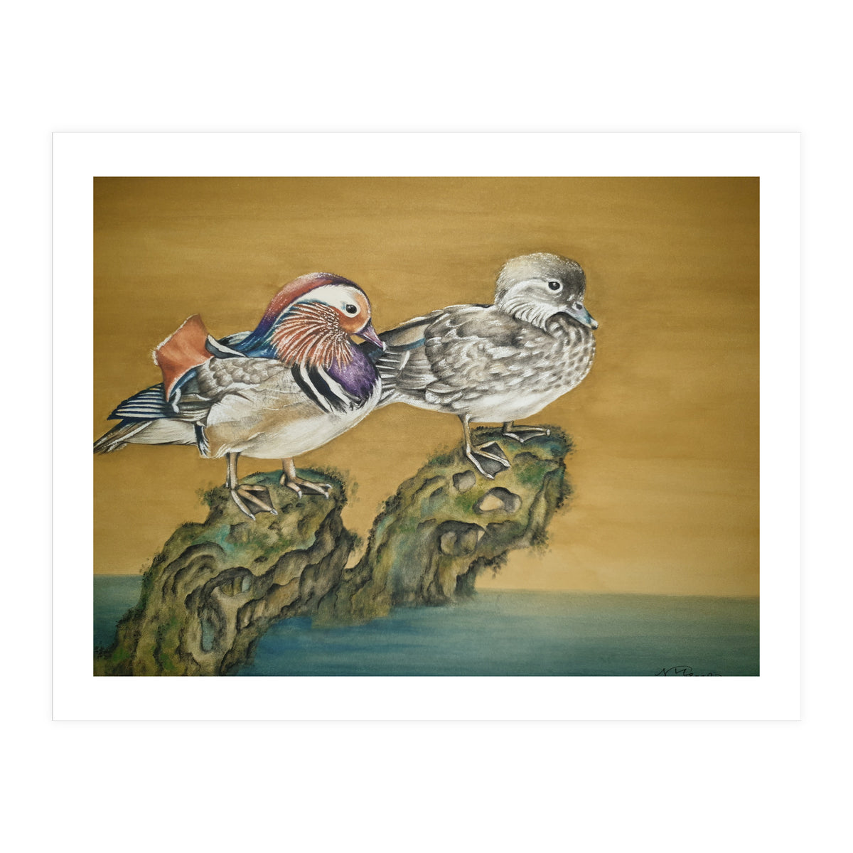 Mandarin Ducks (Print Only)