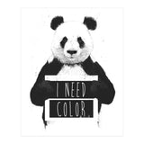 I Need Color (Print Only) thumbnail