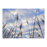 Autumn Grass (Print Only) thumbnail
