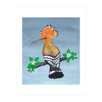 Hoopoe bird (Print Only)