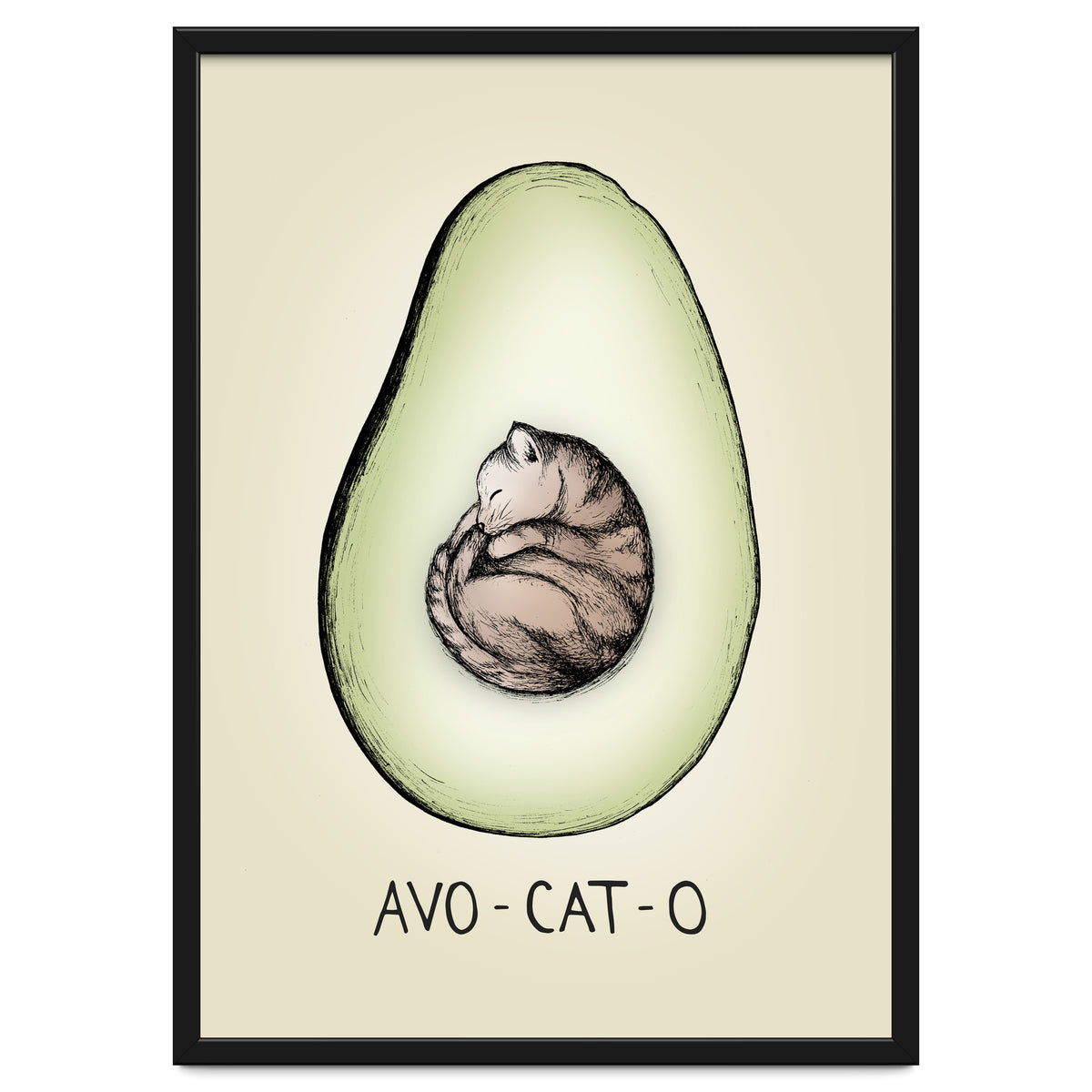 Avo-cat-o