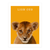 Lion Cub (Print Only) thumbnail
