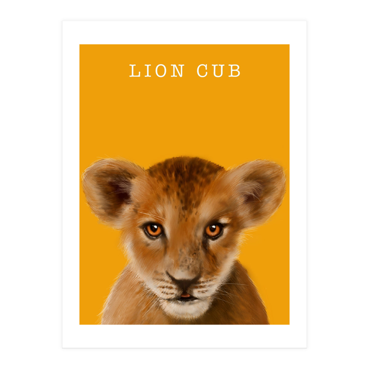 Lion Cub (Print Only)
