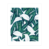 Tropical Winter (Print Only) thumbnail