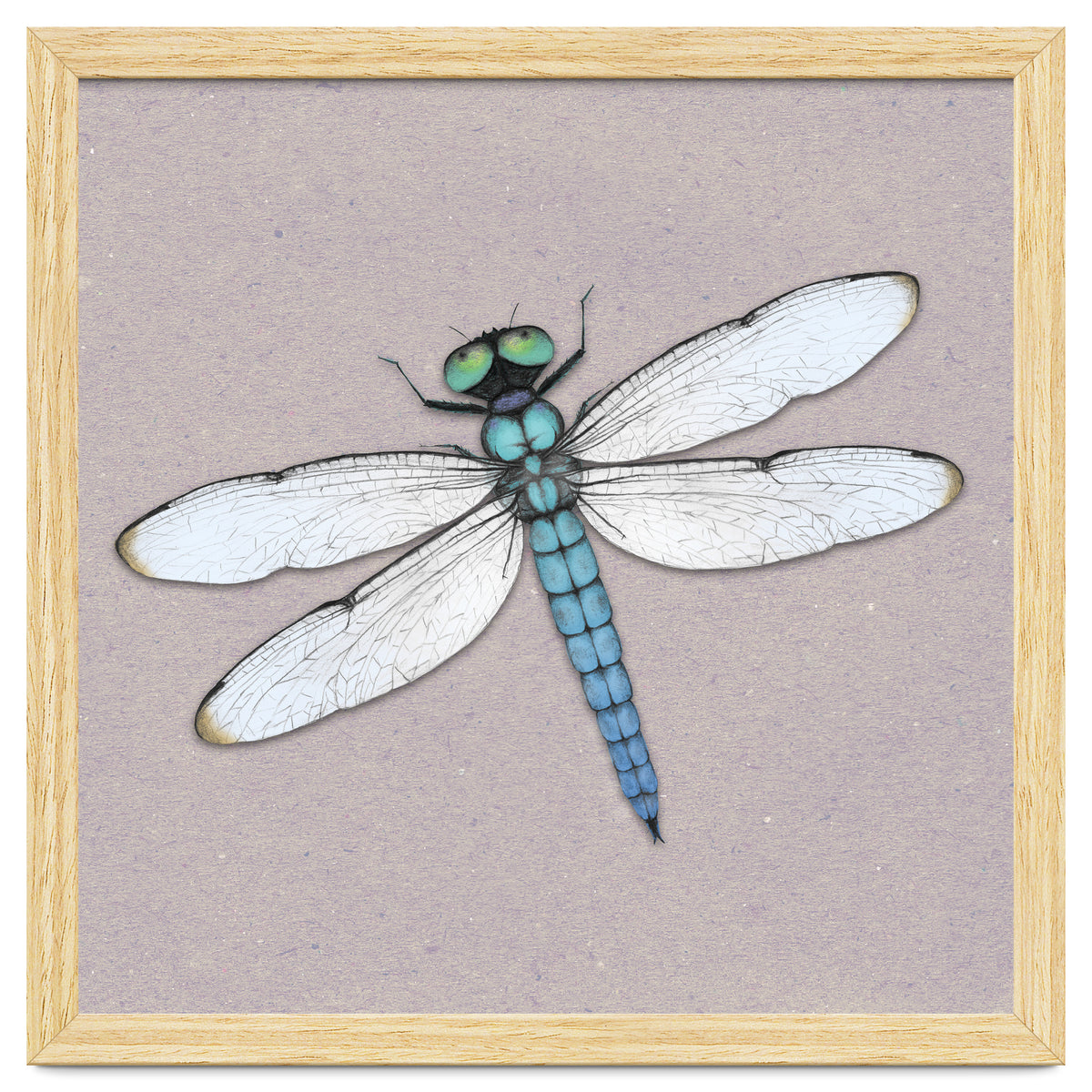 Blue dragonfly