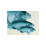 Fish Classic Designs 4 (Print Only) thumbnail