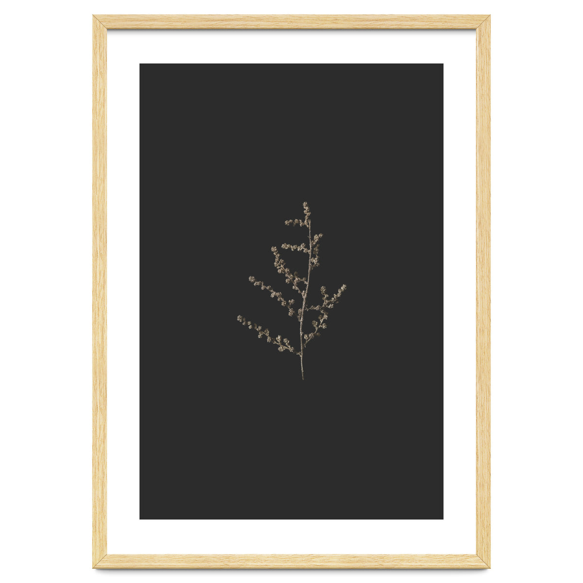 Dainty Botanicals in Gold and Black