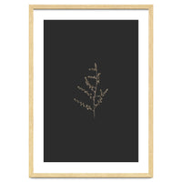 Dainty Botanicals in Gold and Black