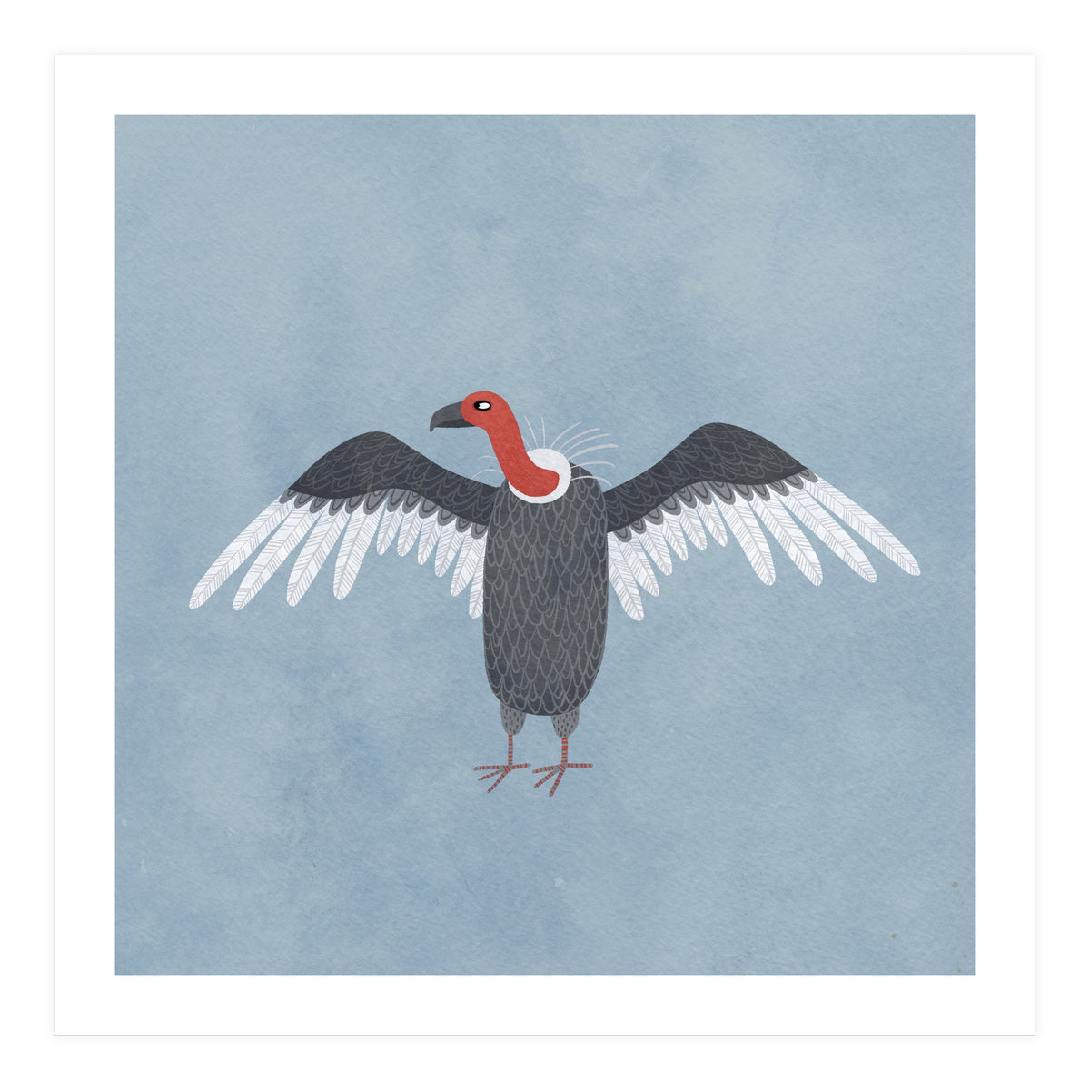 Vulture (Print Only)