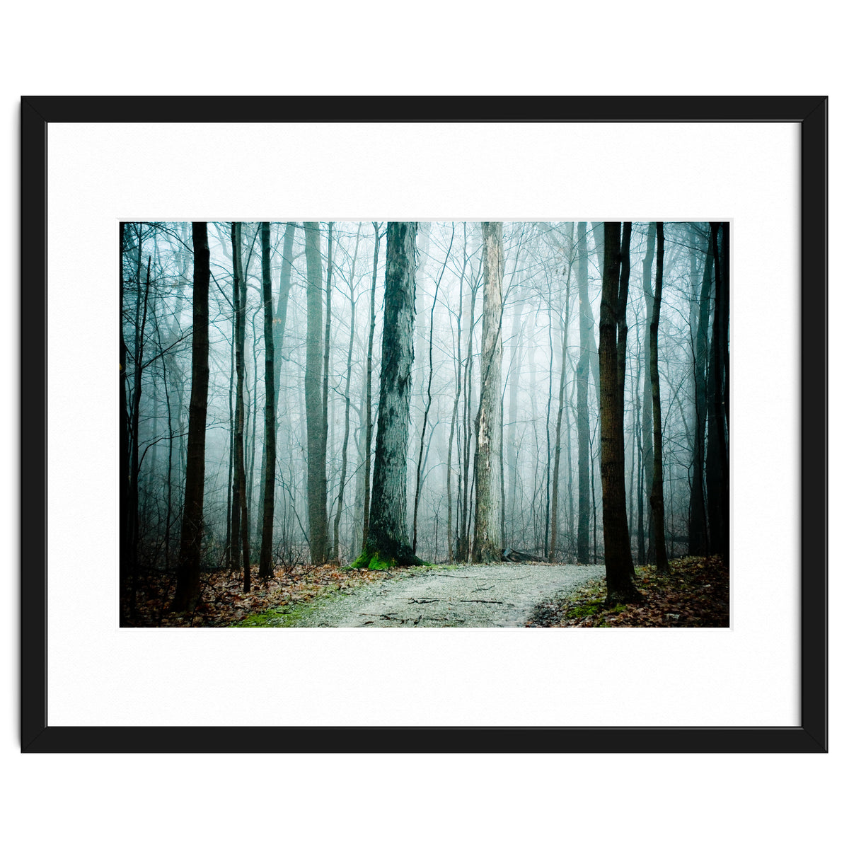 Gather Up Your Dreams