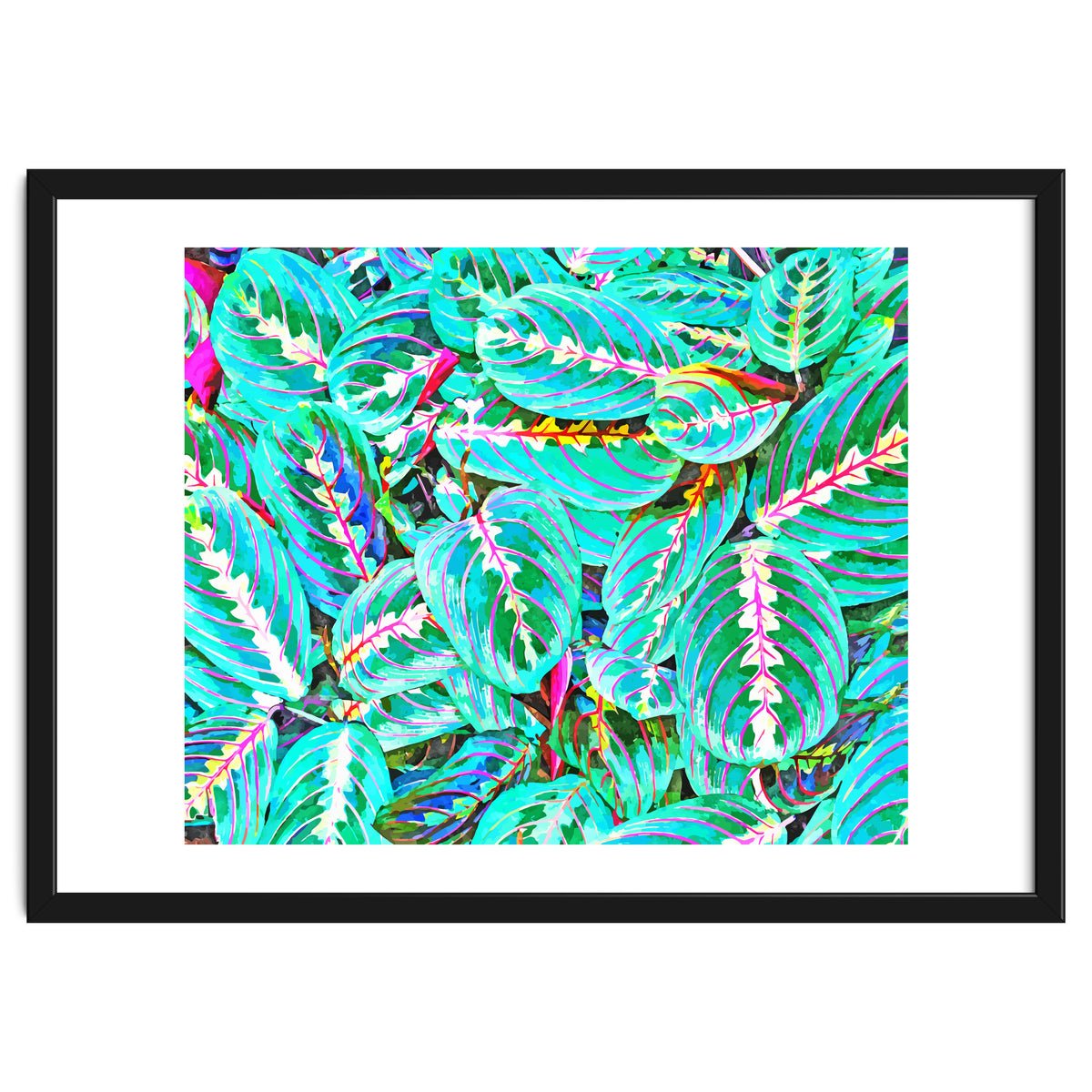 Let's find a beautiful place to get lost