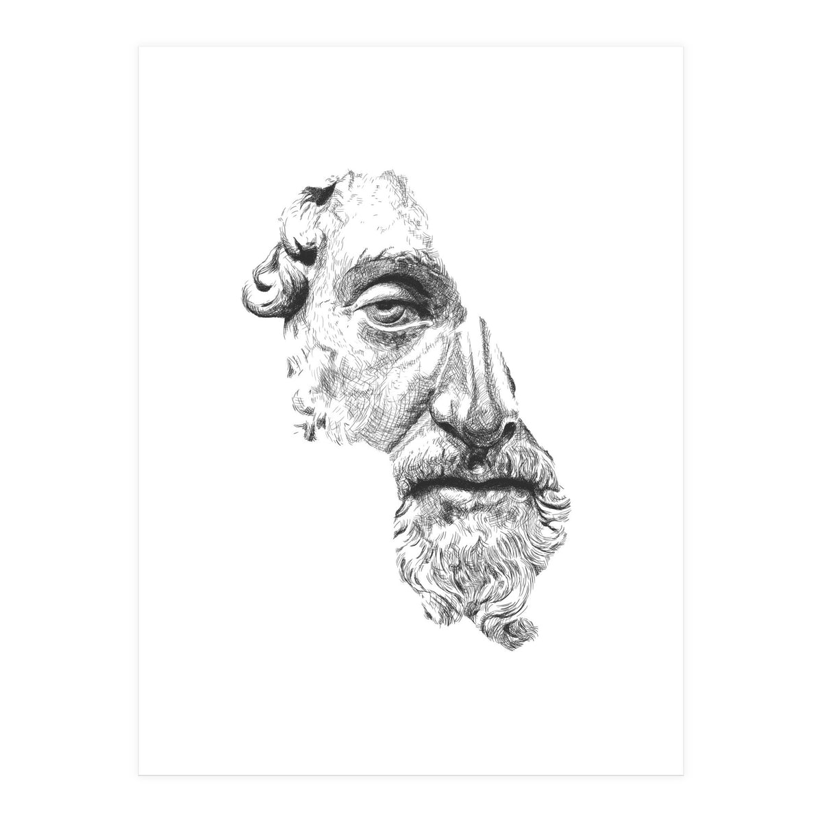MARCUS AURELIUS ANTONINUS AUGUSTUS / black and white (Print Only)