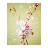 Springflowers (Print Only) thumbnail