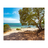Siesta (Print Only) thumbnail