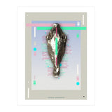 Equus quagga (Print Only) thumbnail