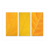 Autumn Leaves (Print Only) thumbnail