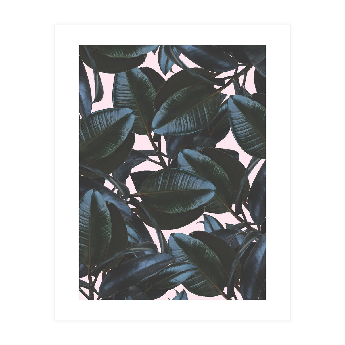 Charming Impression (Print Only)