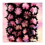 Flowers (Print Only) thumbnail