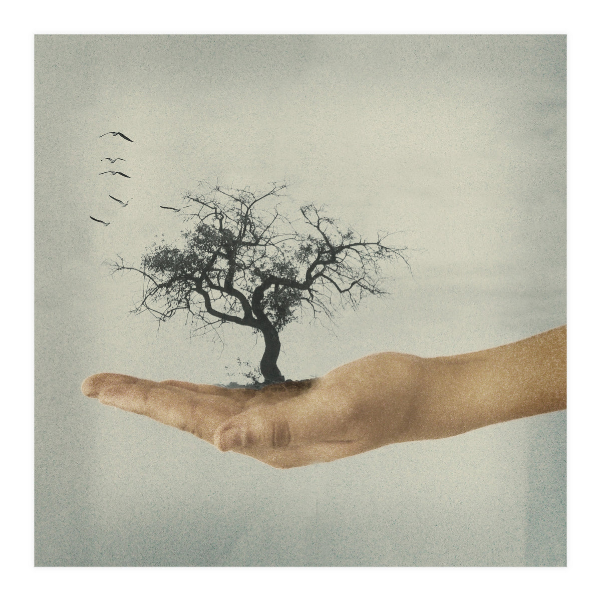 Its All In Your Mind (Print Only)