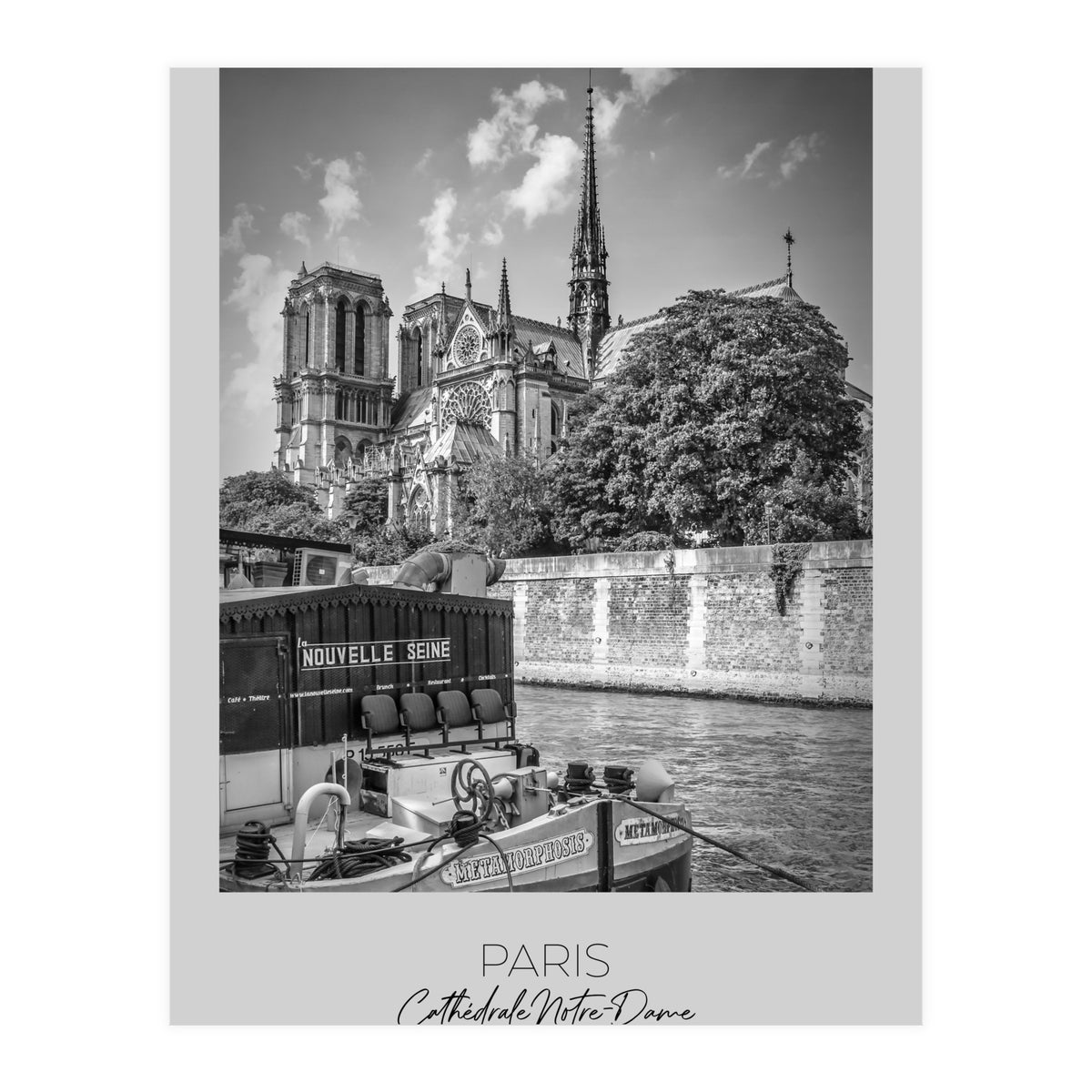 In focus: PARIS Cathedral Notre-Dame  (Print Only)