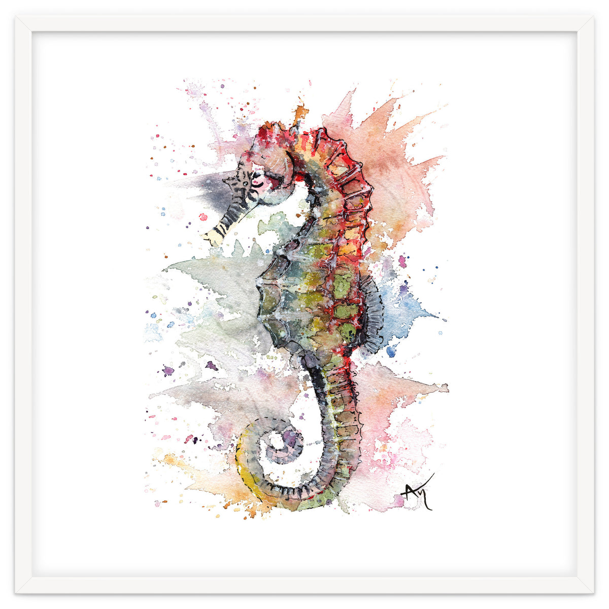 Seahorse - Wildlife Collection