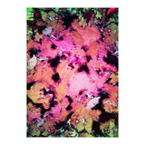 Flower Shop (Print Only) thumbnail