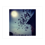 Free Birds (Print Only) thumbnail