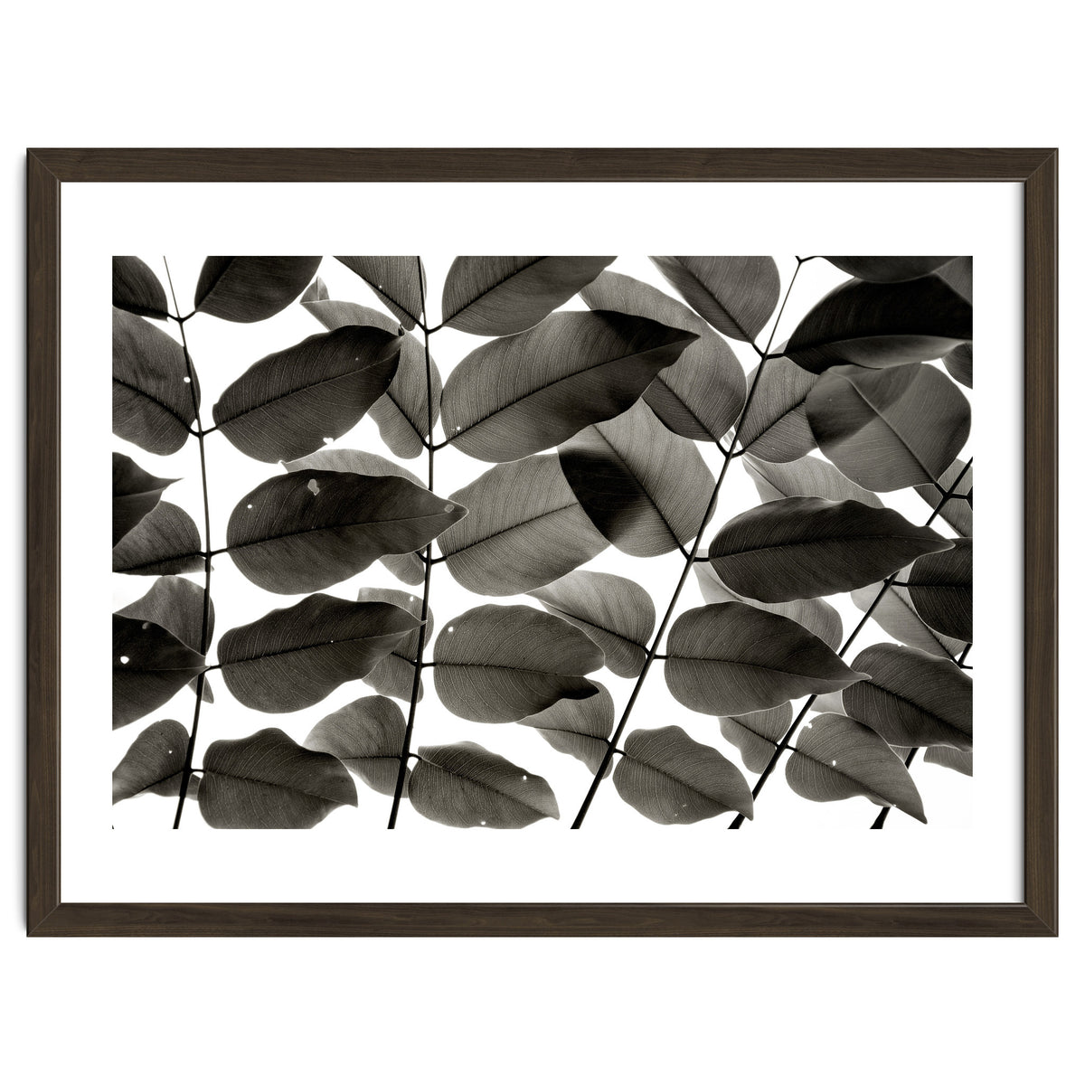 Branches and Leaves I