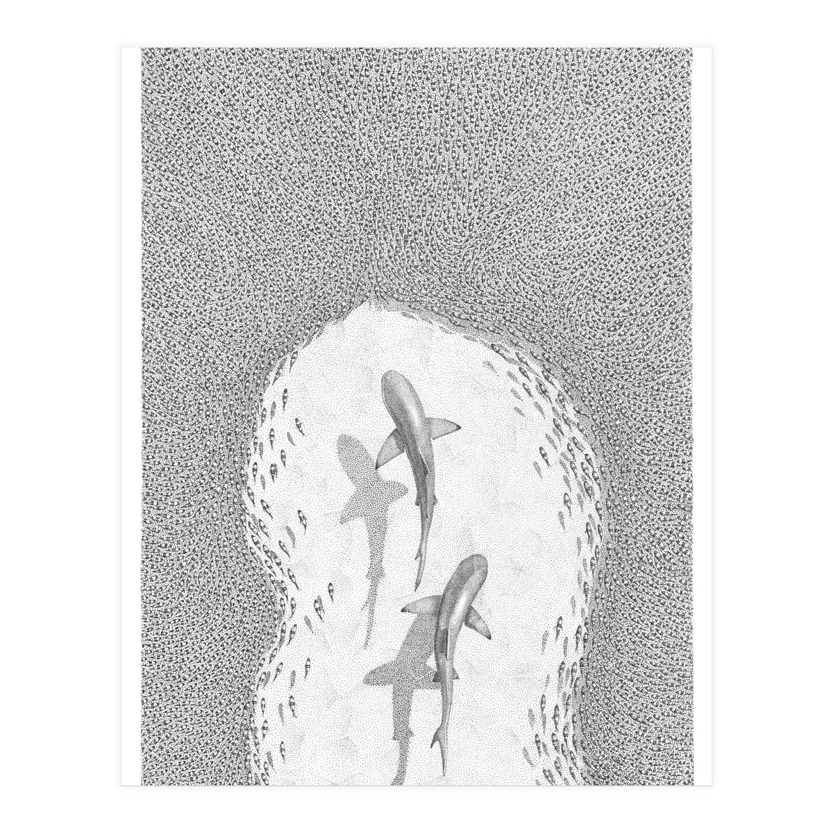 Strength in numbers (Print Only)